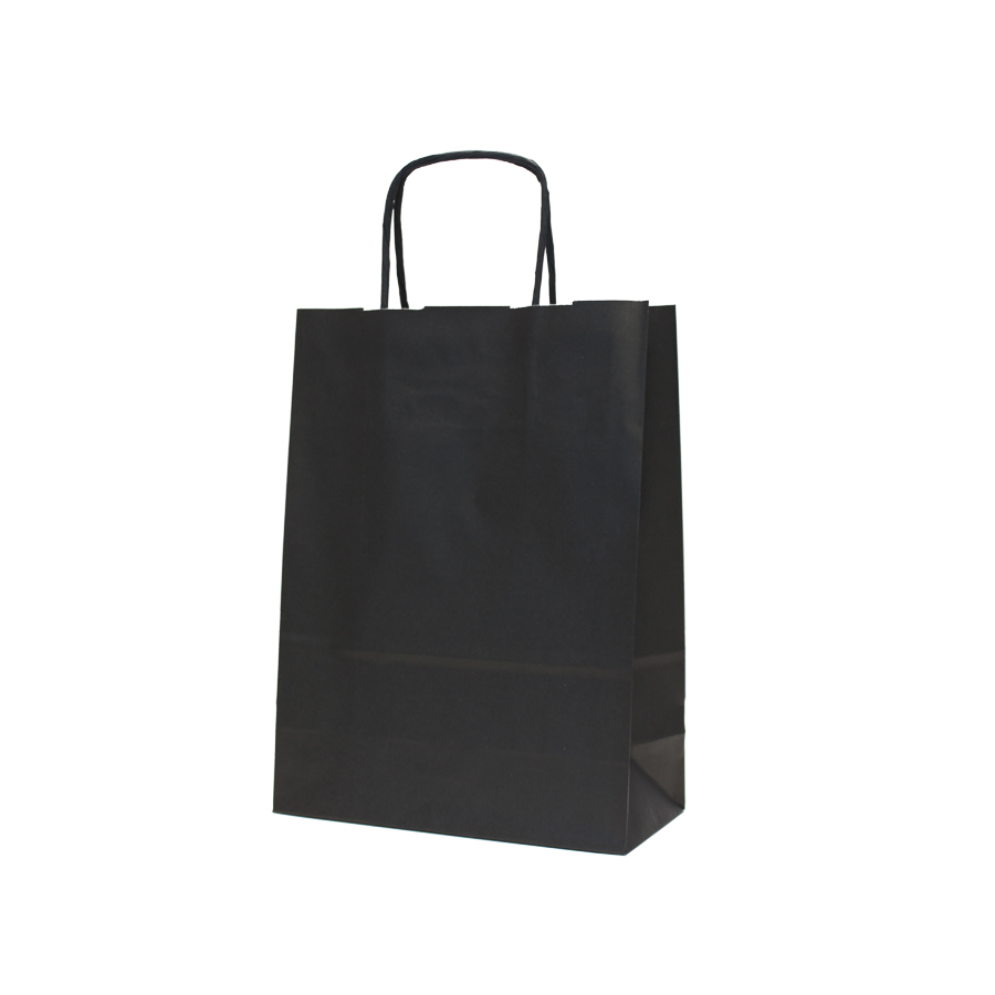 Sacs à poignée torsadée noir 18 X 24 X 8 cm