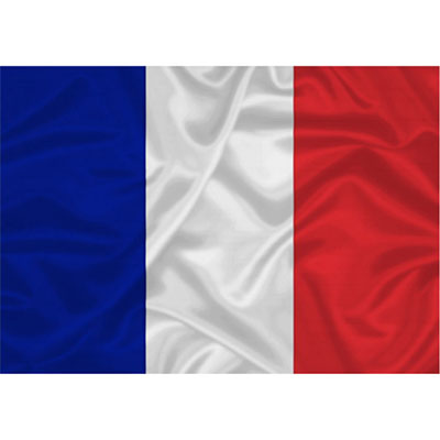 Drapeau de la France en nylon