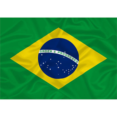 Drapeau brésilien en nylon